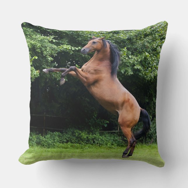Arabiska Stallion Dekorativ kudde (Framsida)