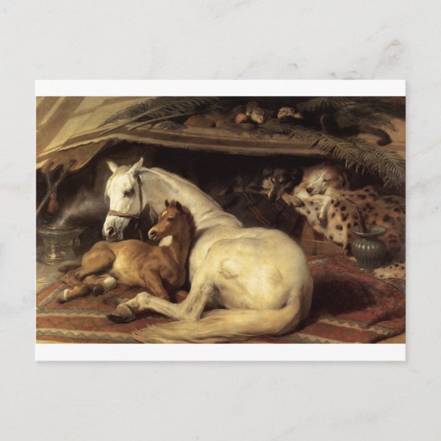 Arabiska Tält av Edwin Henry Landseer Vykort (Framsida)