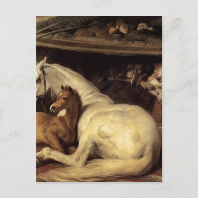 Arabiska Tält av Edwin Henry Landseer Vykort (Framsida)