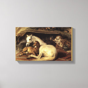 Arabiska Tält Canvastryck