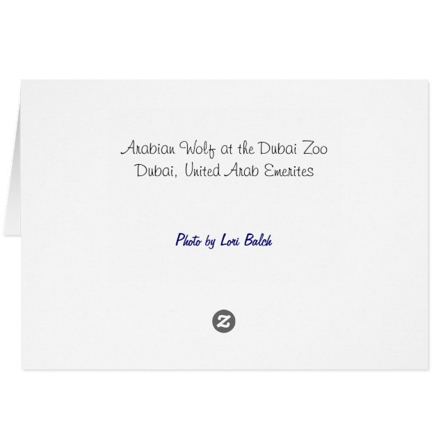 Arabiska Varger OBS Kort (Baksidan Horizontal)