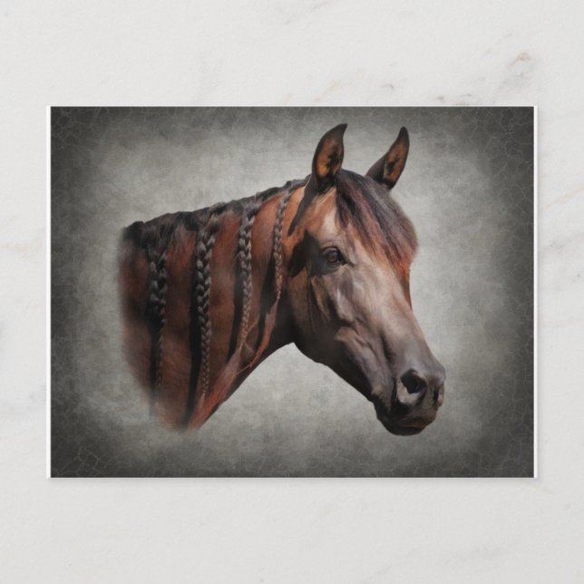 Arabiska Vykort (Framsida)