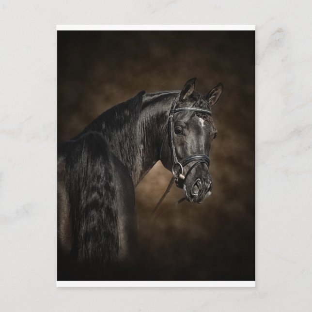 Arabiska Vykort (Framsida)