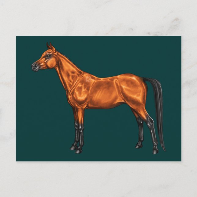 arabiska vykort (Framsida)