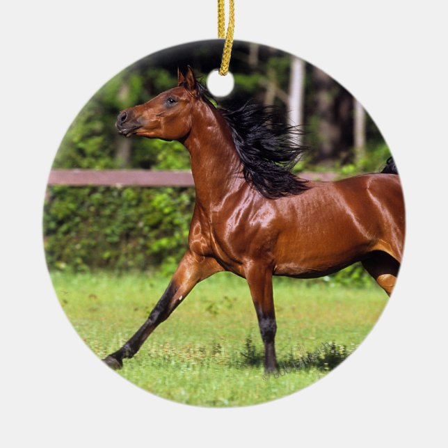 Arabiskt hästspring 2 julgransprydnad keramik (Framsidan)
