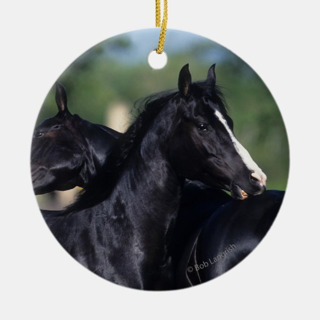 Arabiskt skrapa för häst julgransprydnad keramik (Framsidan)