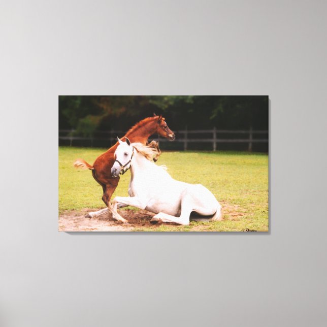 Arabiskt stoft Stretched Kanvastryck (Framsida)