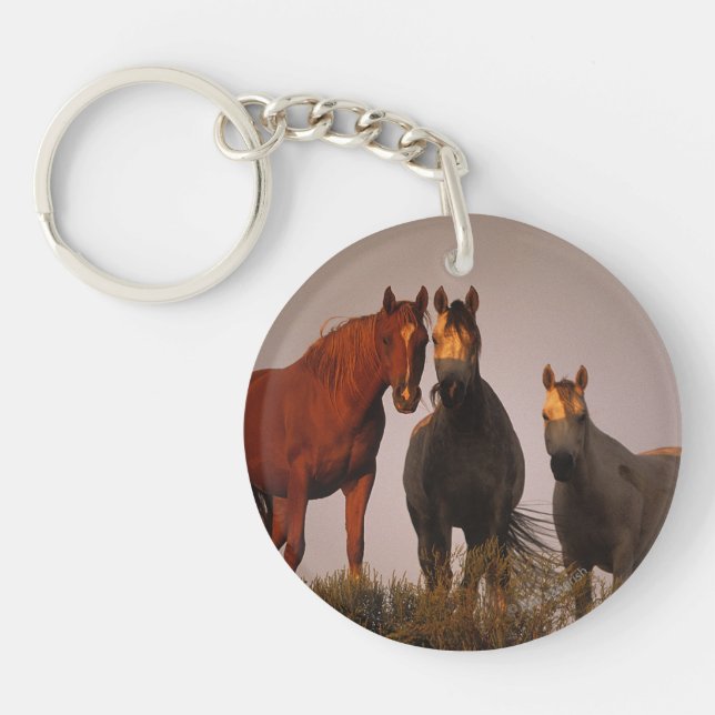 Arabs på solnedgången (Framsidan)