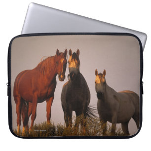 Arabs på solnedgången laptop sleeve