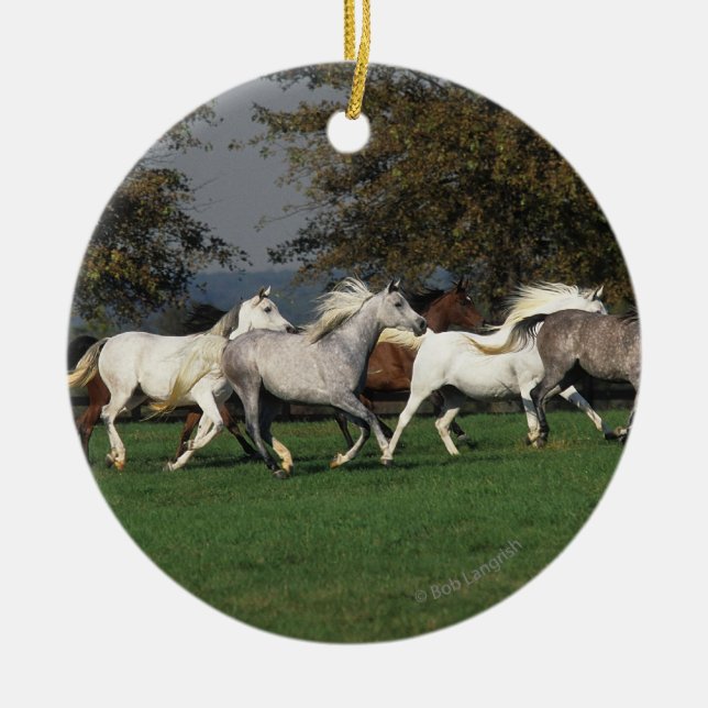 Arabs som är rinnande i fält julgransprydnad keramik (Framsidan)