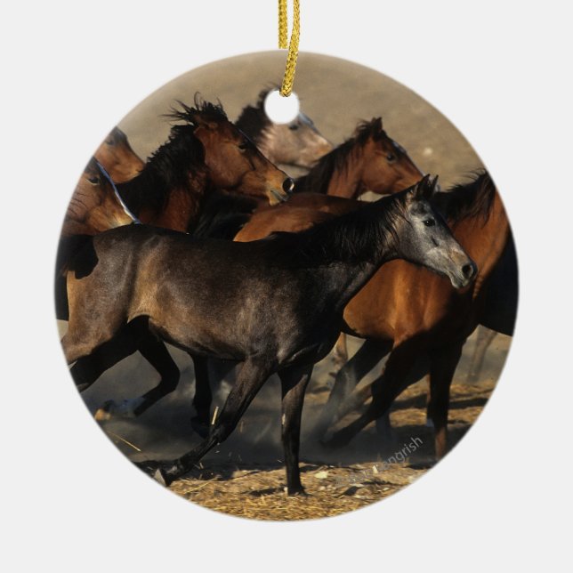 Arabs som är rinnande i öknen julgransprydnad keramik (Framsidan)