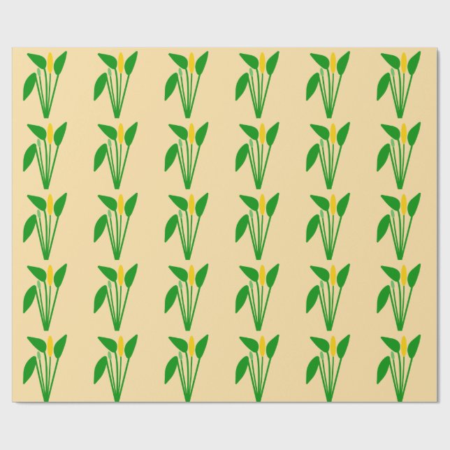 Araceae Presentpapper (Platt)