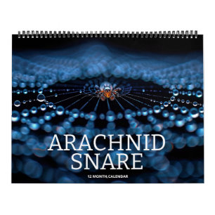 Arachnid Snare Kalender