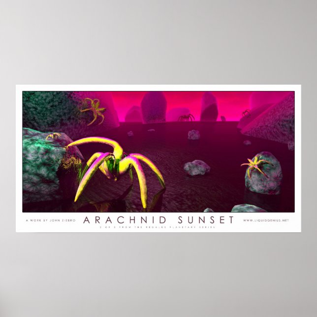 Arachnid Sunset Poster (Framsidan)