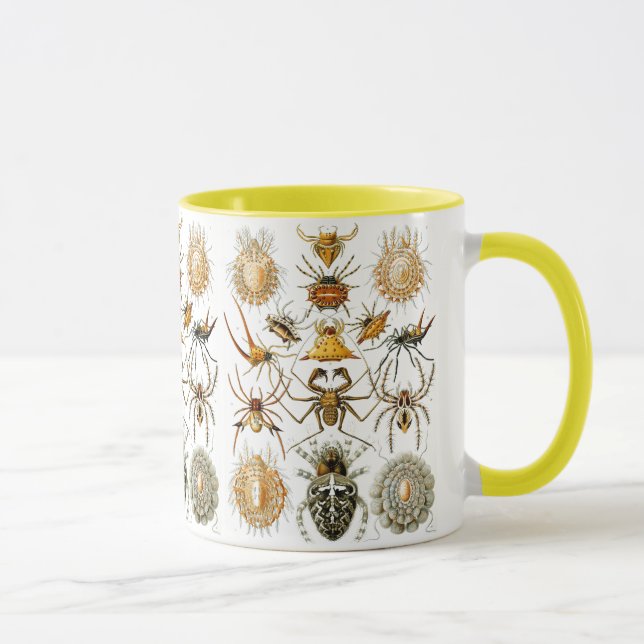 Arachnida (Spiders) Ernst Haeckel Fine Art Mugg (Höger)