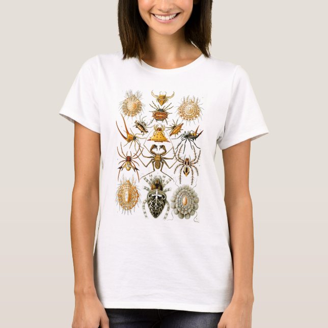 Arachnida (Spiders), Ernst Haeckel Fine Art T Shirt (Framsida)