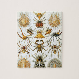 Arachnids av Ernst Haeckel, Vintage Spiders Pussel