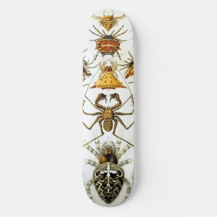 Arachnids by Ernest Haeckel vintage illustration Mini Skateboard Bräda 18,5 Cm