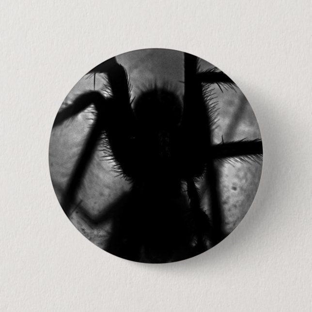 Arachnophobia… Knapp (Framsida)