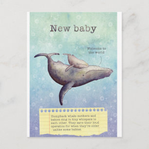 Ärade mor och baby valar. Nyfödd bebis-kort. Meddelande Vykort