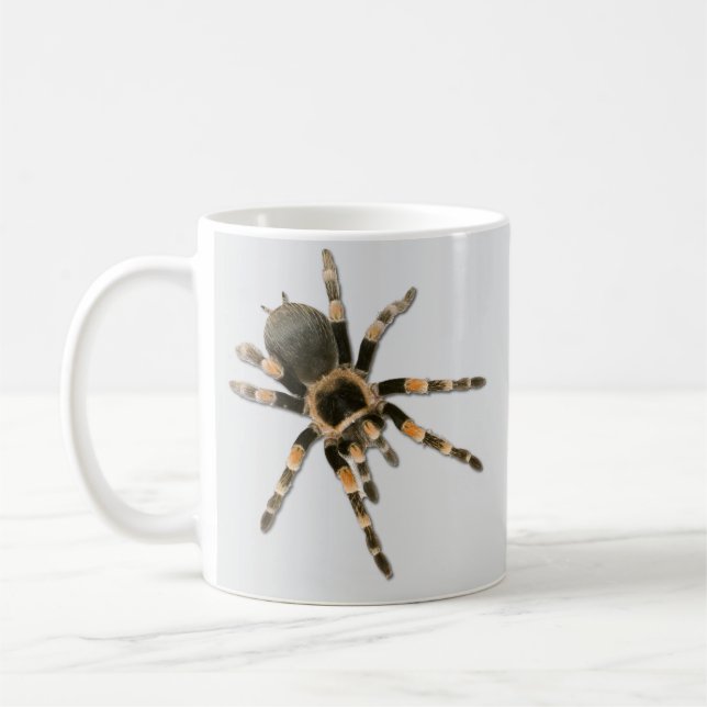 Araignée mygale (Brachypelma smithi). Kaffemugg (Vänster)
