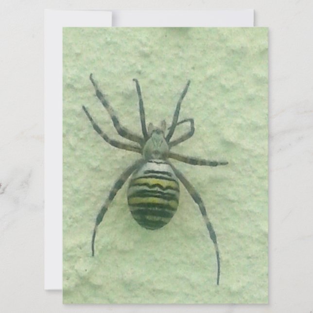 Araignee spinder (Framsida)
