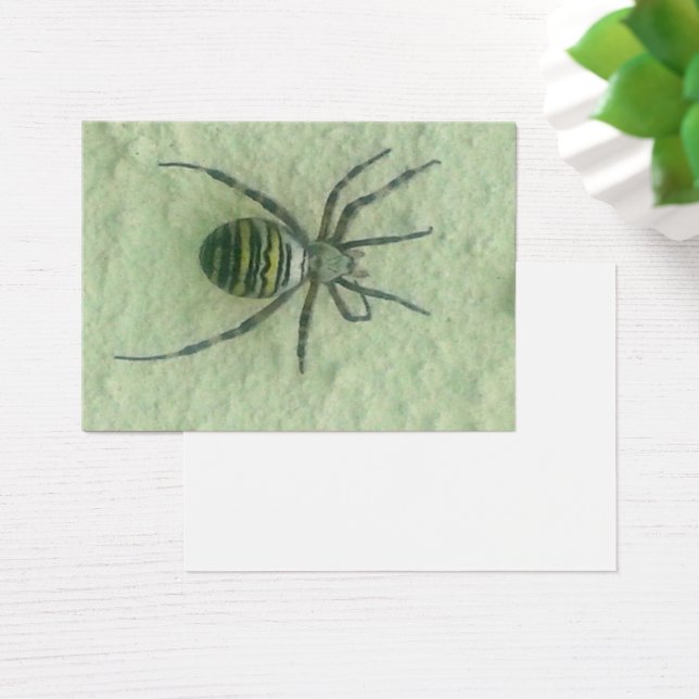 Araignee spinder visitkort (Skivbord)