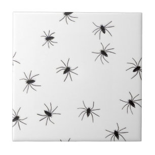 Araknofobi (spindlar) (Insektra kronor) Kakelplatta