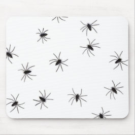 Araknofobi (spindlar) (Insektra kronor) Musmatta