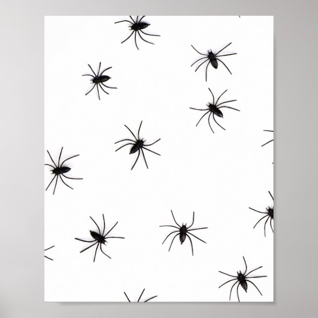 Araknofobi (spindlar) (Insektra kronor) Poster (Framsidan)