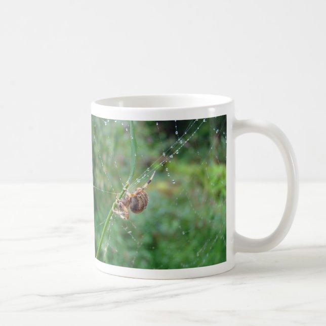Araneus - hjulspindel kaffemugg (Höger)