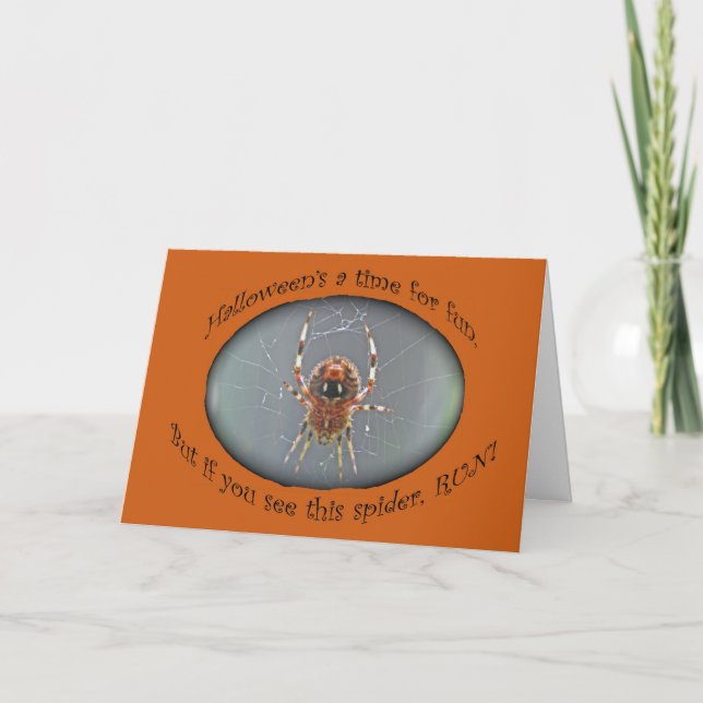 Araneus Orb Weaver Spider Halloween-kort Kort (Framsida)