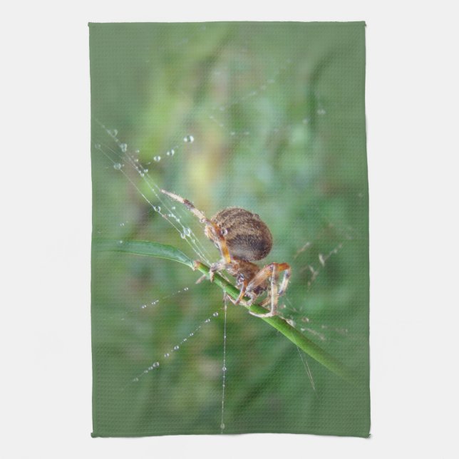 Araneus - Orb Weaver Spider Kökshandduk (Vertikal)