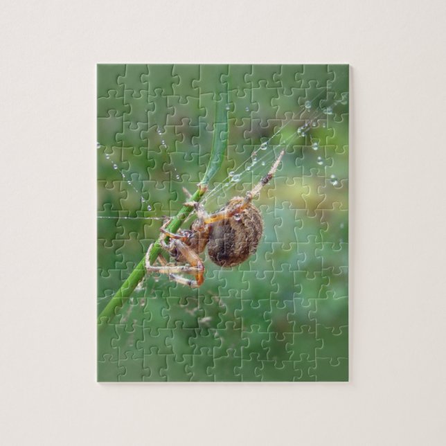 Araneus - Orb Weaver Spider Pussel (Vertikal)