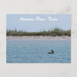 Aransas Pass Texas kust med pelikan Vykort