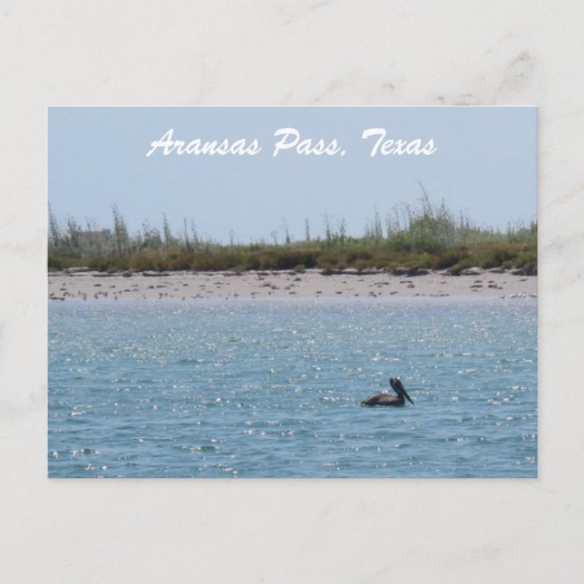 Aransas Pass Texas kust med pelikan Vykort (Framsida)