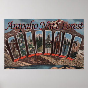 Arapahonationalskog, Colorado Poster