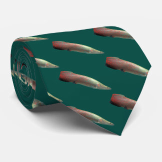 Arapaima gigas slips