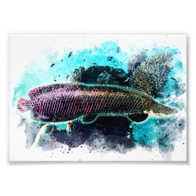 Arapaima Monster Fish Watercolor Pirarucu Paiche Fototryck (Framsidan)