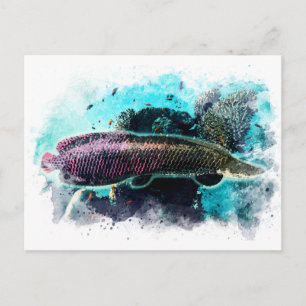 Arapaima Monster Fish Watercolor Pirarucu Paiche Vykort