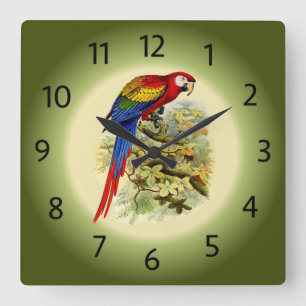 Arara macao - Ara macao - Scarlet Macaw - ~ Fyrkantig Klocka