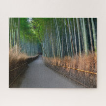 Arashiyama Bamboo Grove i Kyoto Japan