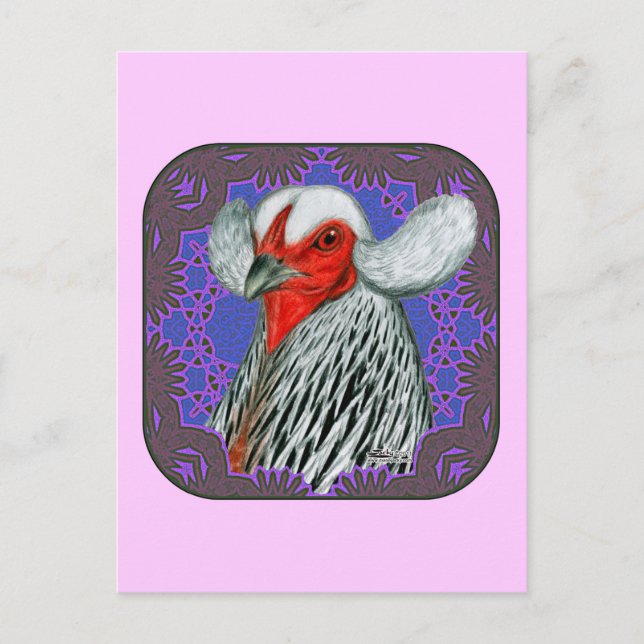 Araucana Head Framed Vykort (Framsida)