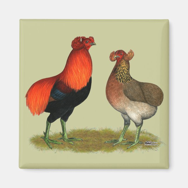 Araucana Red Pair Magnet (Framsidan)