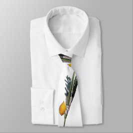 Arba Minim - Lulav, Esrog, Hadas & Aravah Slips