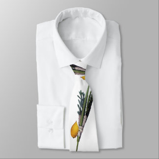 Arba Minim - Lulav, Esrog, Hadas & Aravah Slips