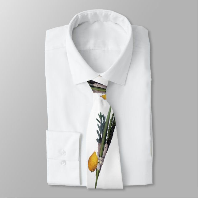 Arba Minim - Lulav, Esrog, Hadas & Aravah Slips (Bunden)