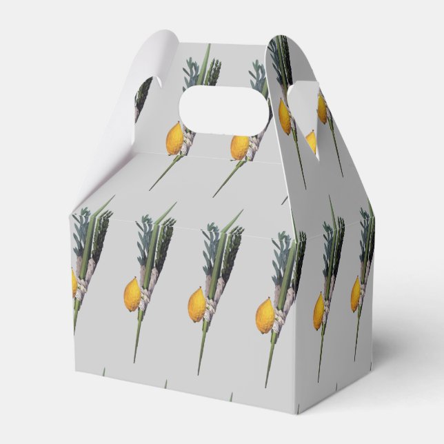 Arba Minim - Lulav, Esrog, Hadas och Aravah Presentaskar (Baksidan Sidan)