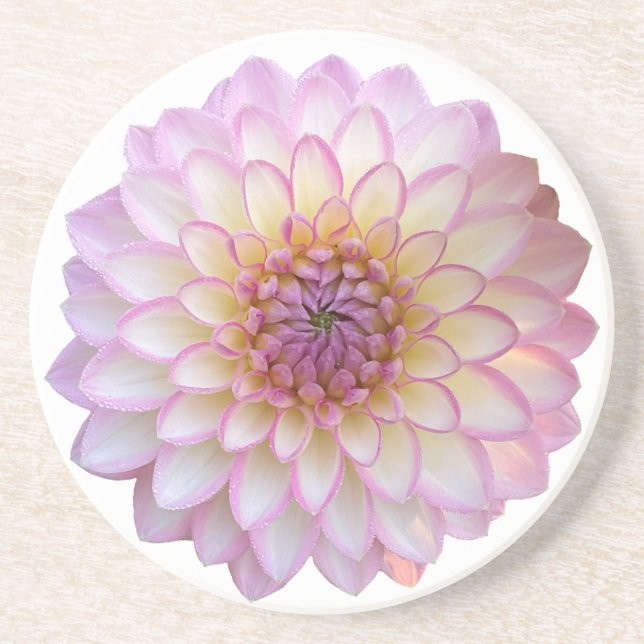 Arbatax Dahlia, Rosa Flower Sandstone Underlägg (Framsidan)
