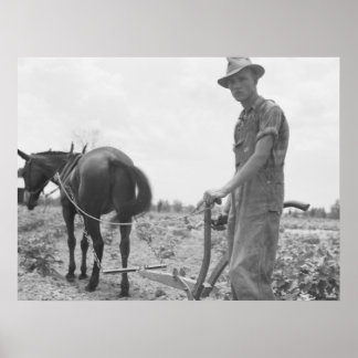 Arbeta i bomull poster